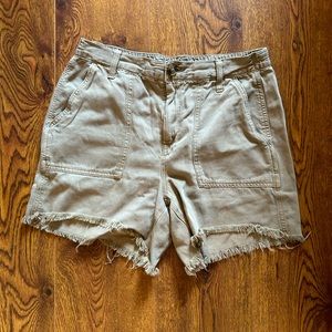 Aerie Tan Cargo Shorts